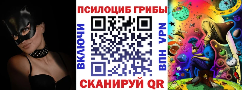 где продают   Куйбышев  Псилоцибиновые грибы ЛСД 